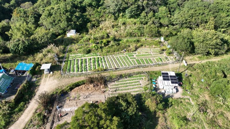 Agriculture in Sha Lo Tung