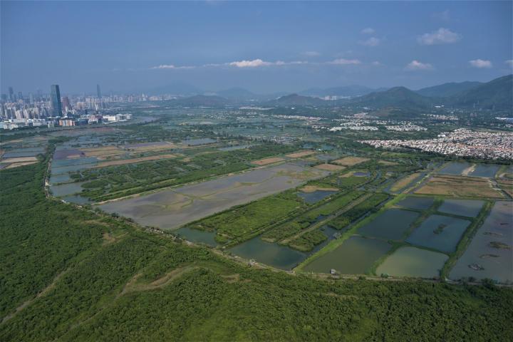 鱼塘的生物多样性